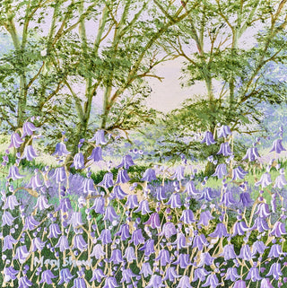 Bluebell Tranquility