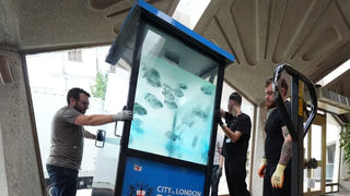 Banksy releases the Piranhas in London