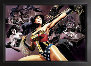 Wonder Woman: Defender Of Truth (Box Canvas)