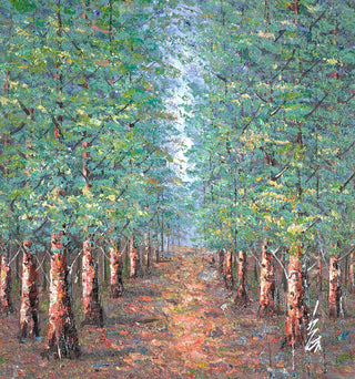 Autumn forest Walkway