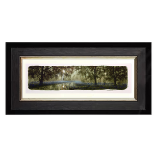 The Bluebell Woods ( Study )